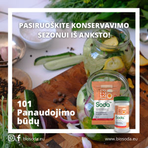 Soda_Konservavimo_sezonui